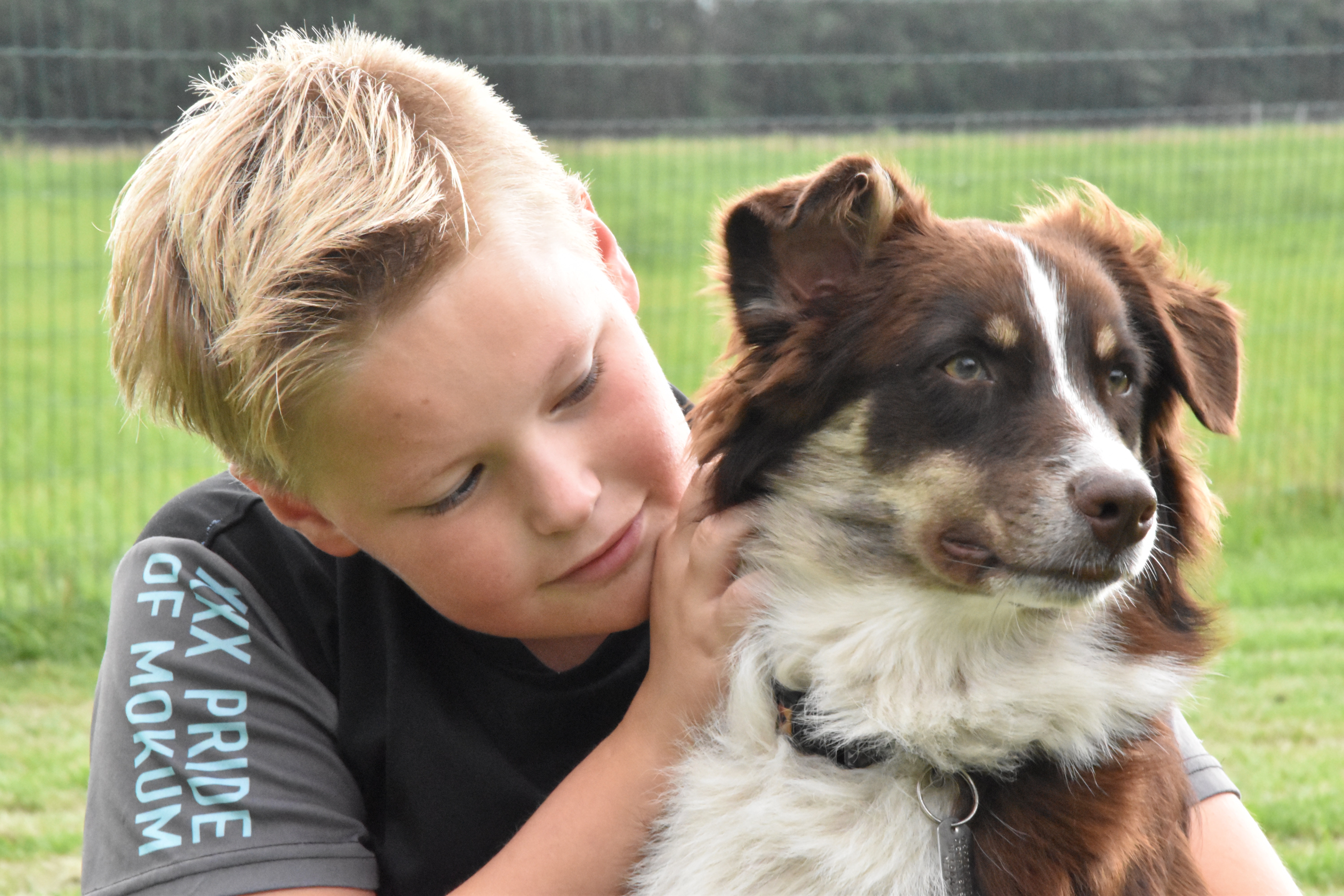 Een zorgboerderij met honden*